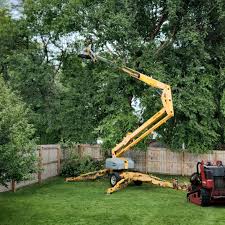 Best Utility Line Clearance  in Highland Lakes, NJ